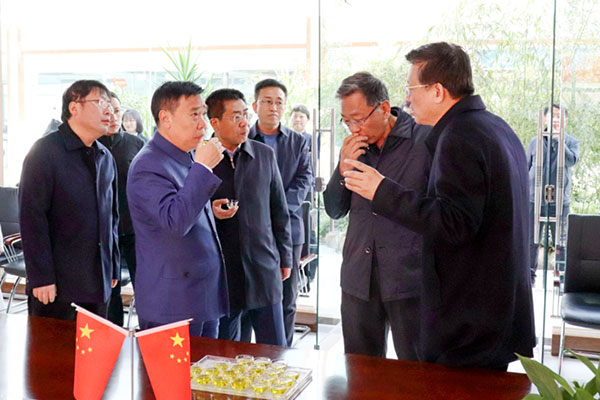 山西药茶 山西药茶工业同盟 2003网站太阳集团康健工业集团