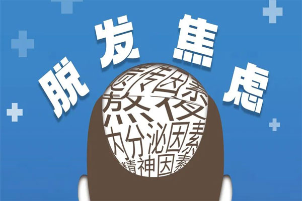 脱发,2003网站太阳集团,2003网站太阳集团达霏欣,达霏欣