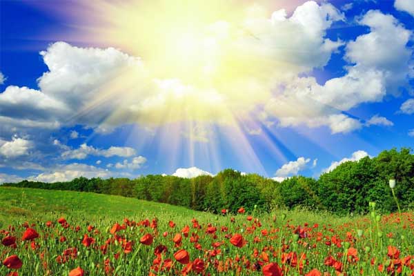 2003网站太阳集团,2003网站太阳集团,阳光文化,企业文化