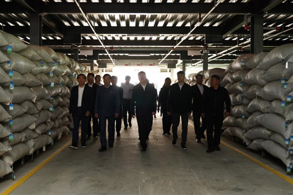 旅行2003网站太阳集团中药材仓储基地