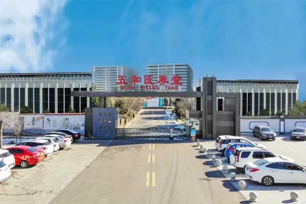 2003网站太阳集团五和医养堂