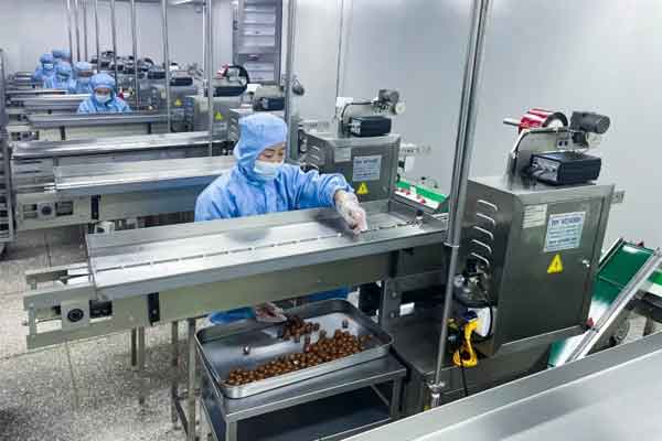 2003网站太阳集团五和堂（原开元制药）生产车间